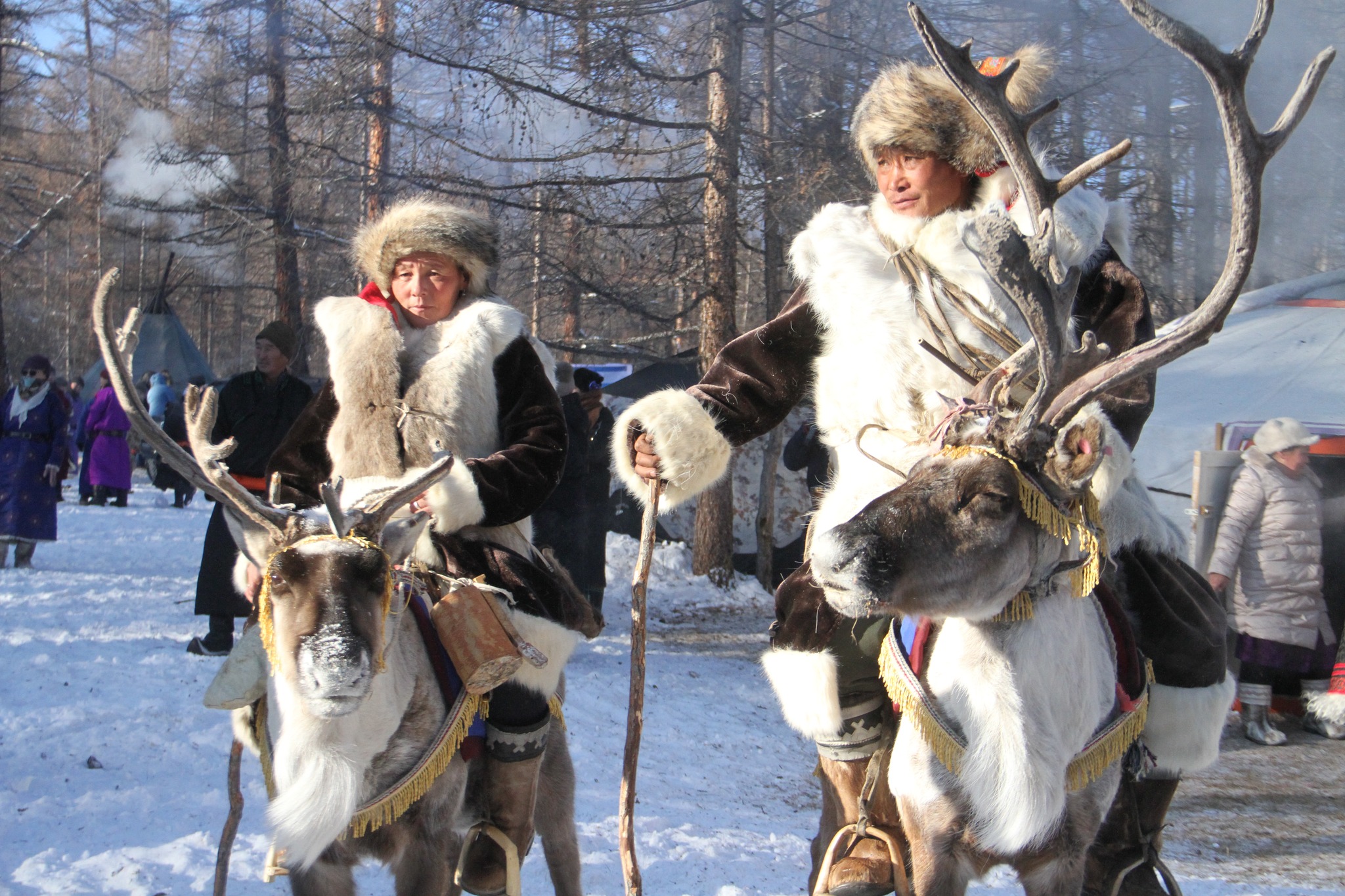 616368121_874319162015493_8076023920866621647_n