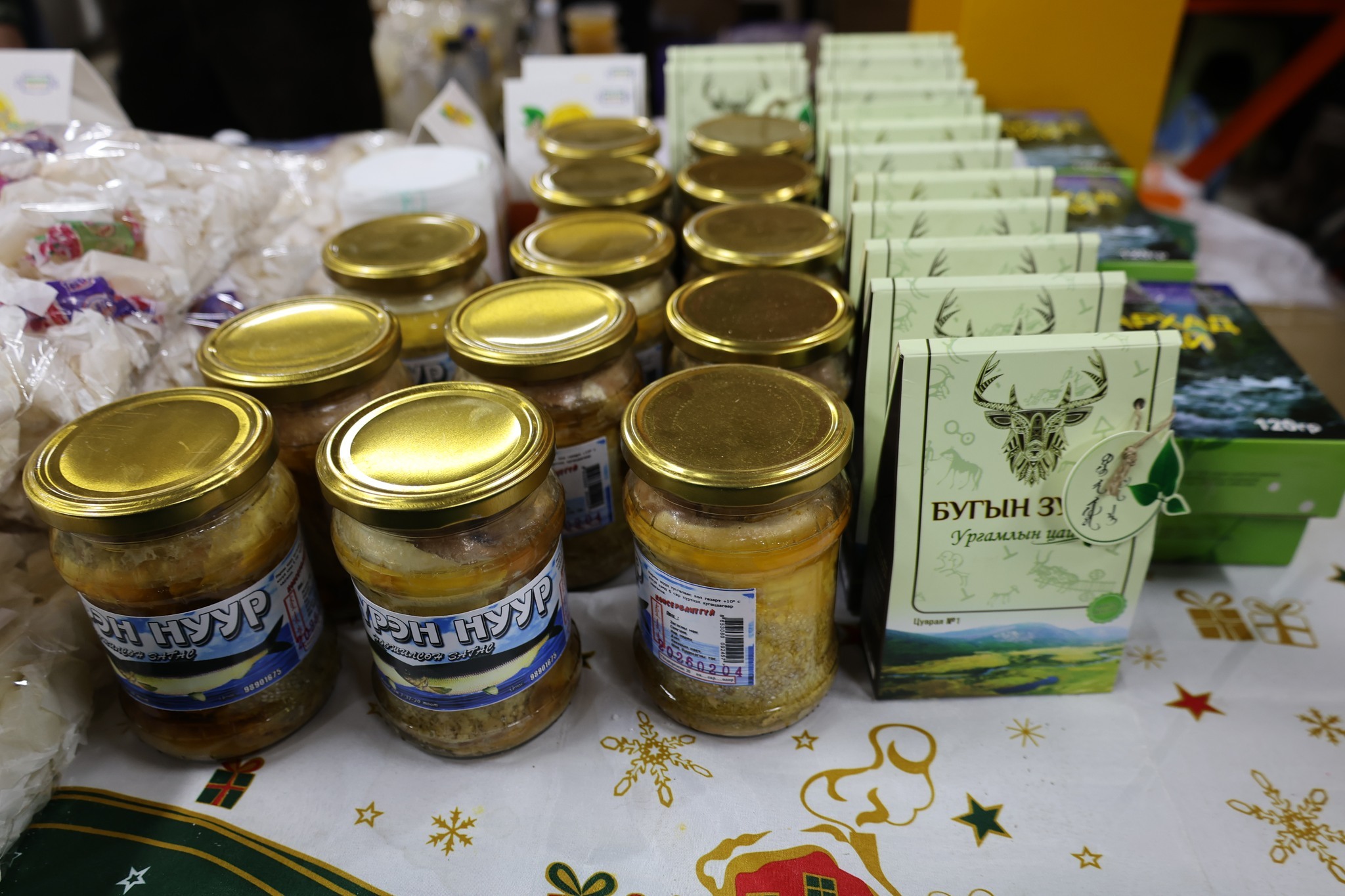 630801799_890181927095883_4340078655277663473_n_-_copy_2